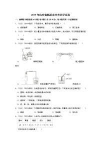 2019年山东省临沂市中考化学试题（解析版）