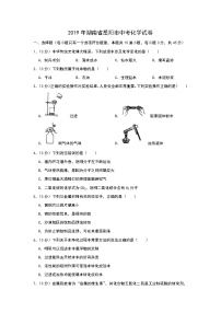 2019年湖南省岳阳市中考化学试题（解析版）