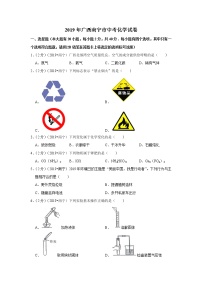 2019年广西北部湾经济区中考化学试题（解析版）