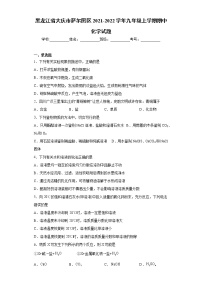 黑龙江省大庆市萨尔图区2021-2022学年九年级上学期期中化学试题（word版 含答案）