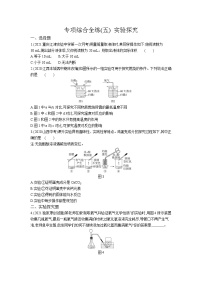 05-专项综合全练(五)实验探究