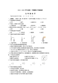 江苏省南京市溧水区2021-2022学年九年级上学期期中学情调研化学【试卷+答案】