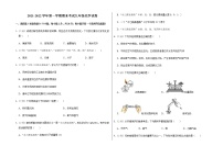 2021-2022学年第一学期期末考试九年级化学试卷 (11)