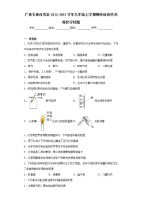 广西玉林市容县2021-2022学年九年级上学期期中适应性训练化学试题（word版 含答案）