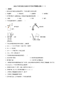 2021年河北省九地市中考一模化学试题