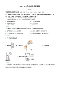 2021年广东省汕头市濠江区中考一模化学试题