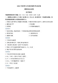 2020年四川省南充市中考一模化学试题