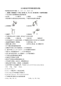 河南省濮阳市范县2021-2022学年九年级上学期期中化学试题（word版 含答案）