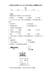 广西南宁市宾阳县2021-2022学年九年级上学期期中化学试题（word版 含答案）