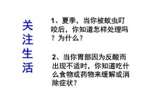 初中鲁教版第四节 酸碱中和反应备课课件ppt