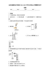 山东省德州市平原县2021-2022学年九年级上学期期中化学试题（word版 含答案）