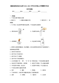 湖南省株洲市天元区2021-2022学年九年级上学期期中考试化学试题（word版 含答案）