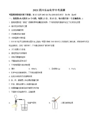 2021年四川省乐山市中考化学试题（原卷+解析）