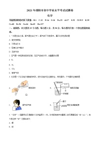 2021年湖南省邵阳市中考化学试题（原卷+解析）