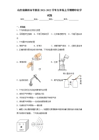 山东省德州市平原县2021-2022学年九年级上学期期中化学试题（word版 含答案）