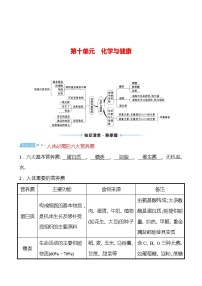 备战2022 鲁教版 中考复习 第十单元 化学与健康 学案