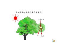 2021学年第二单元 我们周围的空气课题3 制取氧气图片课件ppt