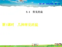 初中化学科粤版九年级下册8.4 常用的盐授课ppt课件
