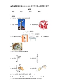 山东省德州市乐陵市2021-2022学年九年级上学期期中化学试题(word版含答案)