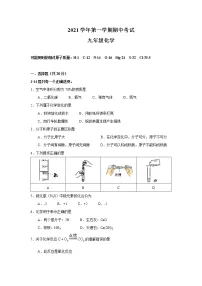 上海市浦东新区2021-2022学年九年级上学期期中考试化学试卷（word版 含答案）