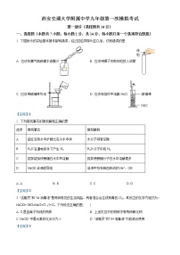 2021年陕西省西安市雁塔区西交大附中中考模拟化学试题