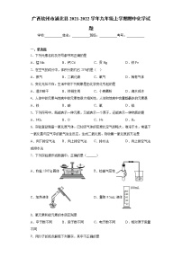 广西钦州市浦北县2021-2022学年九年级上学期期中化学试题（word版 含答案）