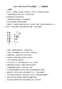 精品解析：2020年陕西省西安市高新一中中考一模物理试题