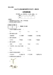 2020年上海市浦东新区中考化学一模试卷_(带答案解析).docx