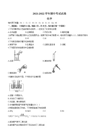 河南省郑州市2021-2022学年九年级上学期期中化学试题(word版含答案)