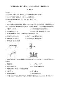 安徽省阜阳市实验中学2021-2022学年九年级上学期期中考试化学试题