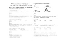 2021年云南省红河州开远市中考化学模拟试卷(解析版)