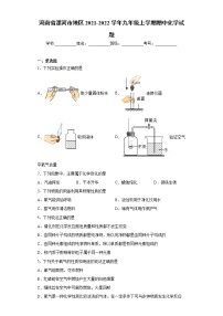 河南省漯河市地区2021-2022学年九年级上学期期中化学试题（word版 含答案）