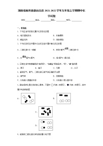 湖南省麻阳苗族自治县2021-2022学年九年级上学期期中化学试题（word版 含答案）