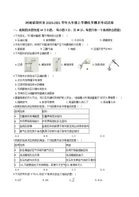 2020-2021学年人教版河南省郑州市九年级化学上学期期末考试试卷