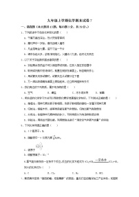 2021-2022学年九年级上学期化学期末试卷7（word版 含答案）