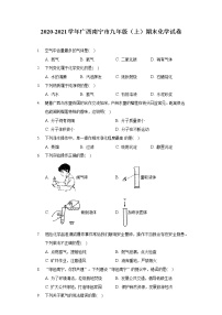 广西南宁市2020-2021学年九年级上学期期末化学试卷（word版 含答案）