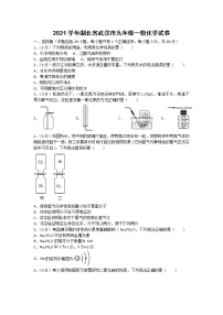 2021学年湖北省武汉市九年级一模化学试卷（含答案）