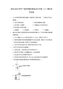 2020-2021学年广东省河源市紫金县九年级（上）期末化学试卷