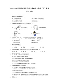 2020-2021学年河南省驻马店市确山县九年级（上）期末化学试卷