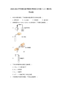 2020-2021学年湖北省孝感市孝南区九年级（上）期末化学试卷