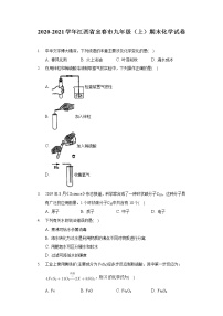 2020-2021学年江西省宜春市九年级（上）期末化学试卷