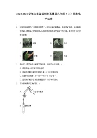 2020-2021学年山东省滨州市无棣县九年级（上）期末化学试卷