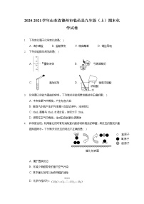 2020-2021学年山东省德州市临邑县九年级（上）期末化学试卷