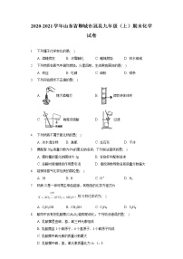 2020-2021学年山东省聊城市冠县九年级（上）期末化学试卷