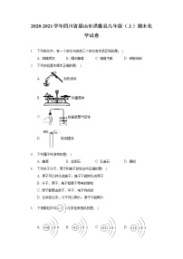 2020-2021学年四川省眉山市洪雅县九年级（上）期末化学试卷