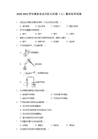 2020-2021学年重庆市永川区九年级（上）期末化学试卷