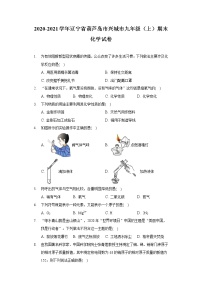 2020-2021学年辽宁省葫芦岛市兴城市九年级（上）期末化学试卷