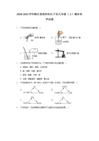 2020-2021学年浙江省杭州市江干区九年级（上）期末化学试卷