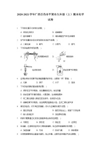 2020-2021学年广西百色市平果市九年级（上）期末化学试卷