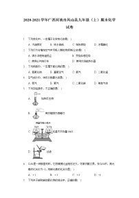 2020-2021学年广西河池市凤山县九年级（上）期末化学试卷